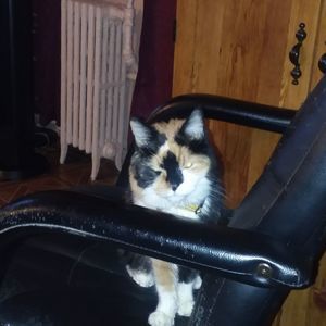 Meet your Posher, Ricardo